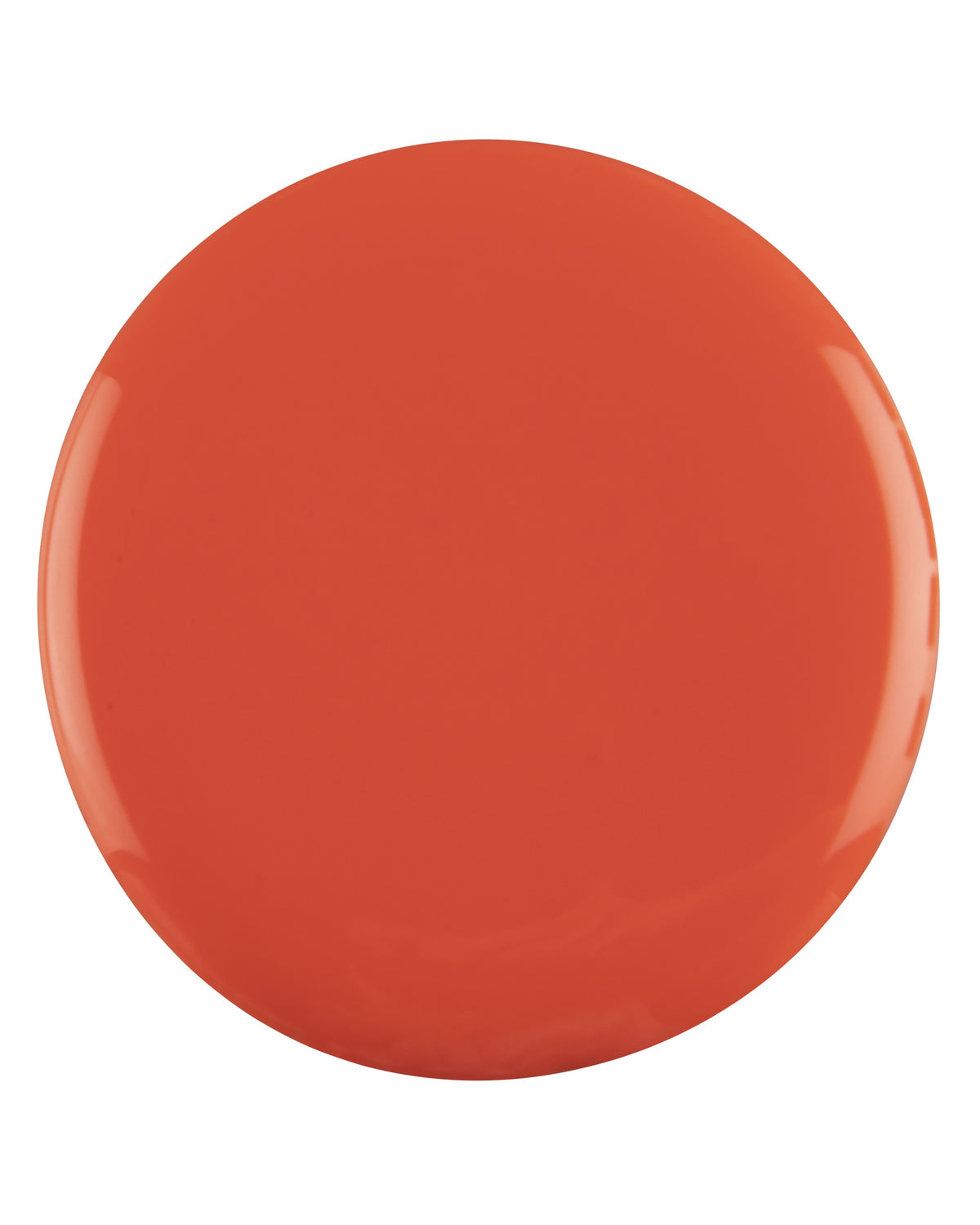 Coral - 2002 - Polish