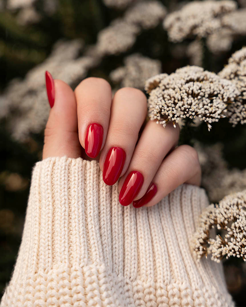 Rambling Rose - Polish