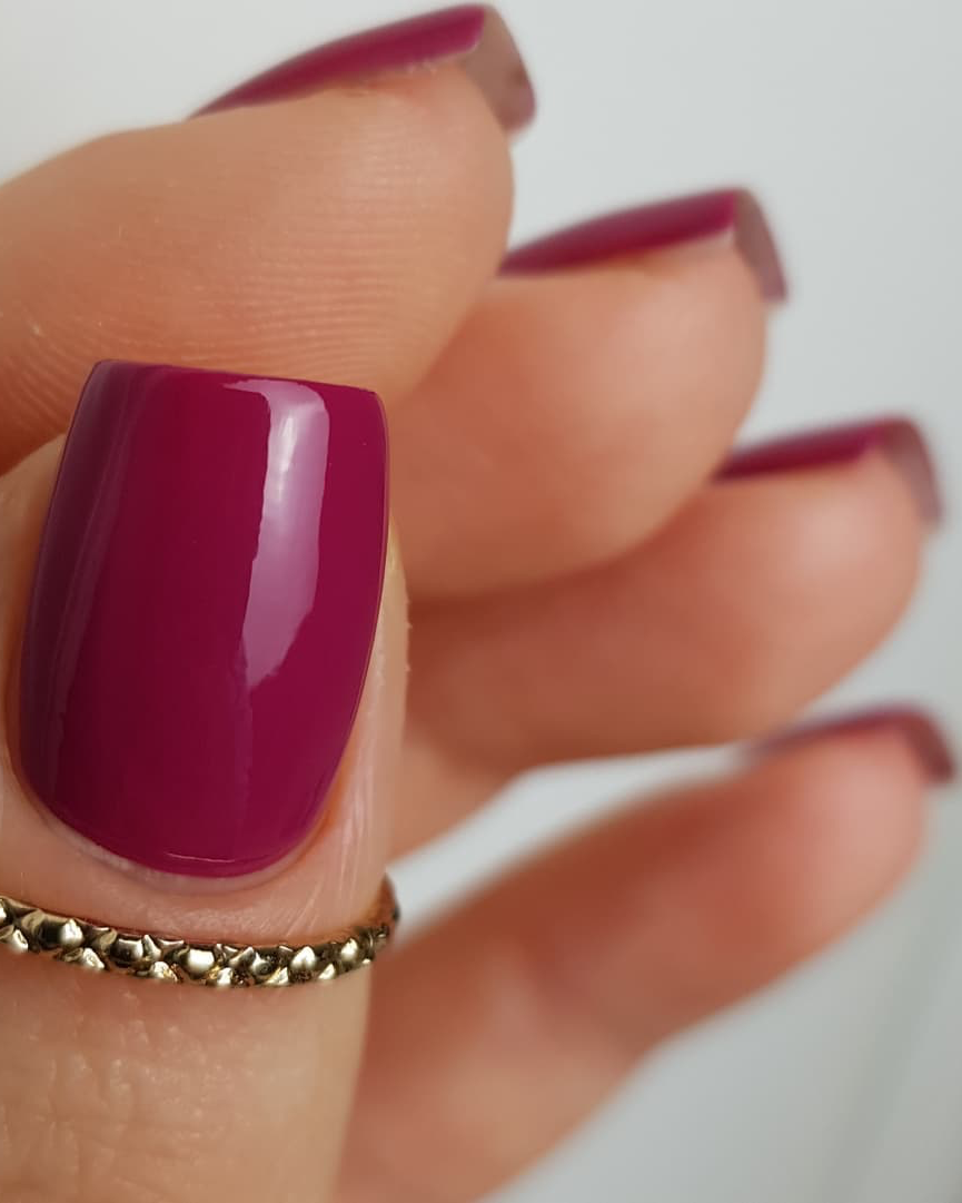 Prancing Protea - Polish