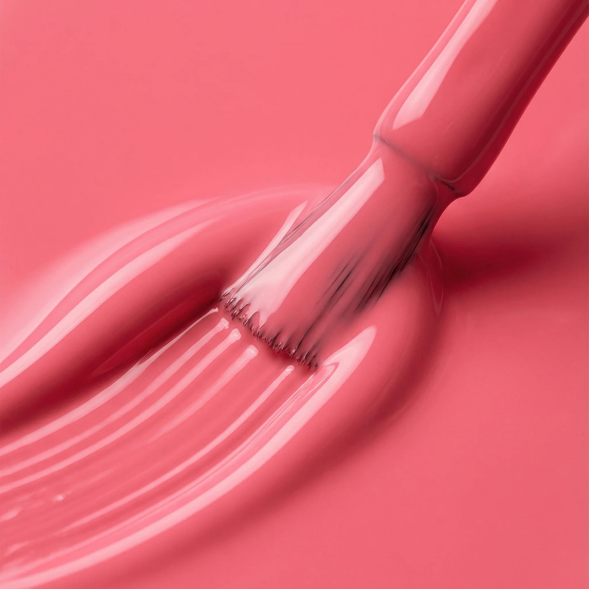 Icon - Spring Duo Pack