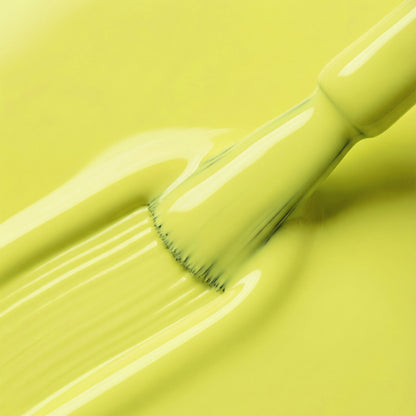 Splash Theory Polish Collection