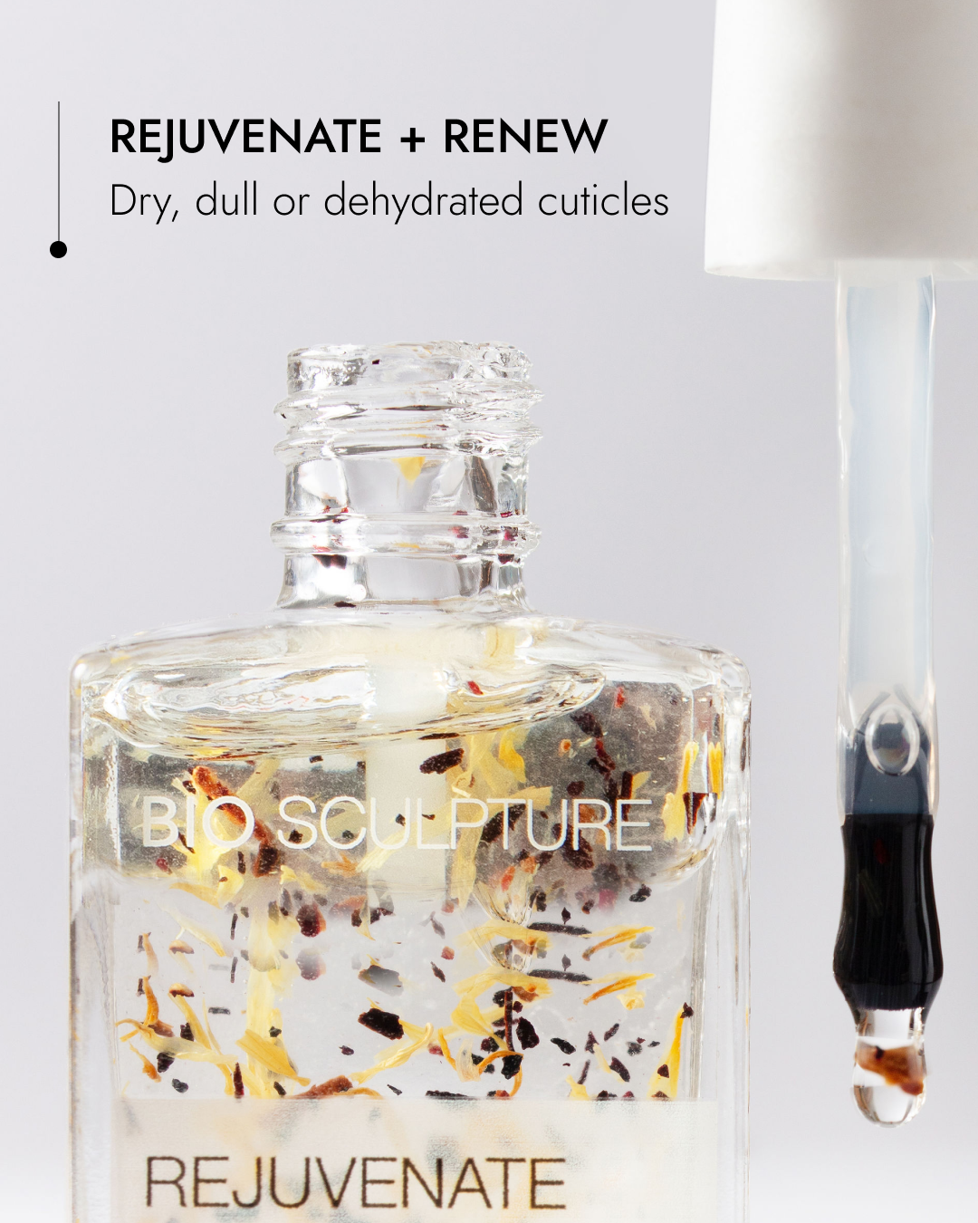 Blackcurrant Cuticle Oil