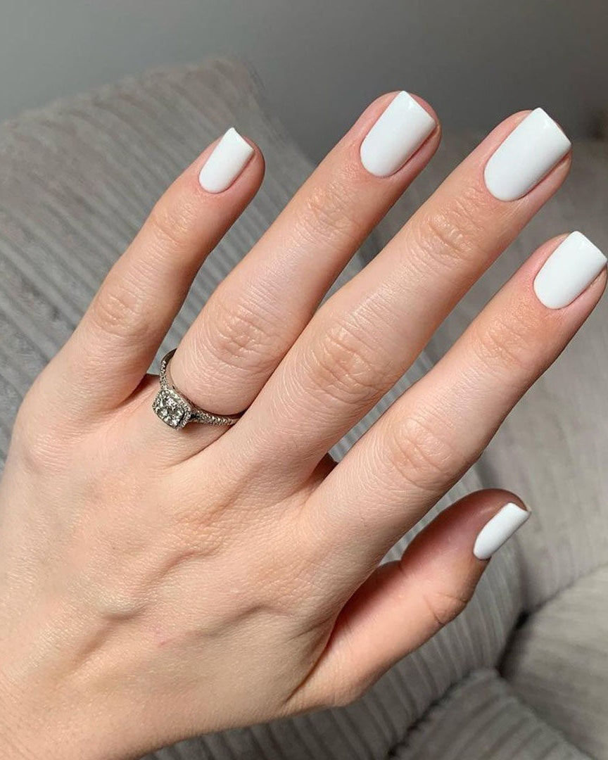French White - 1 - Polish