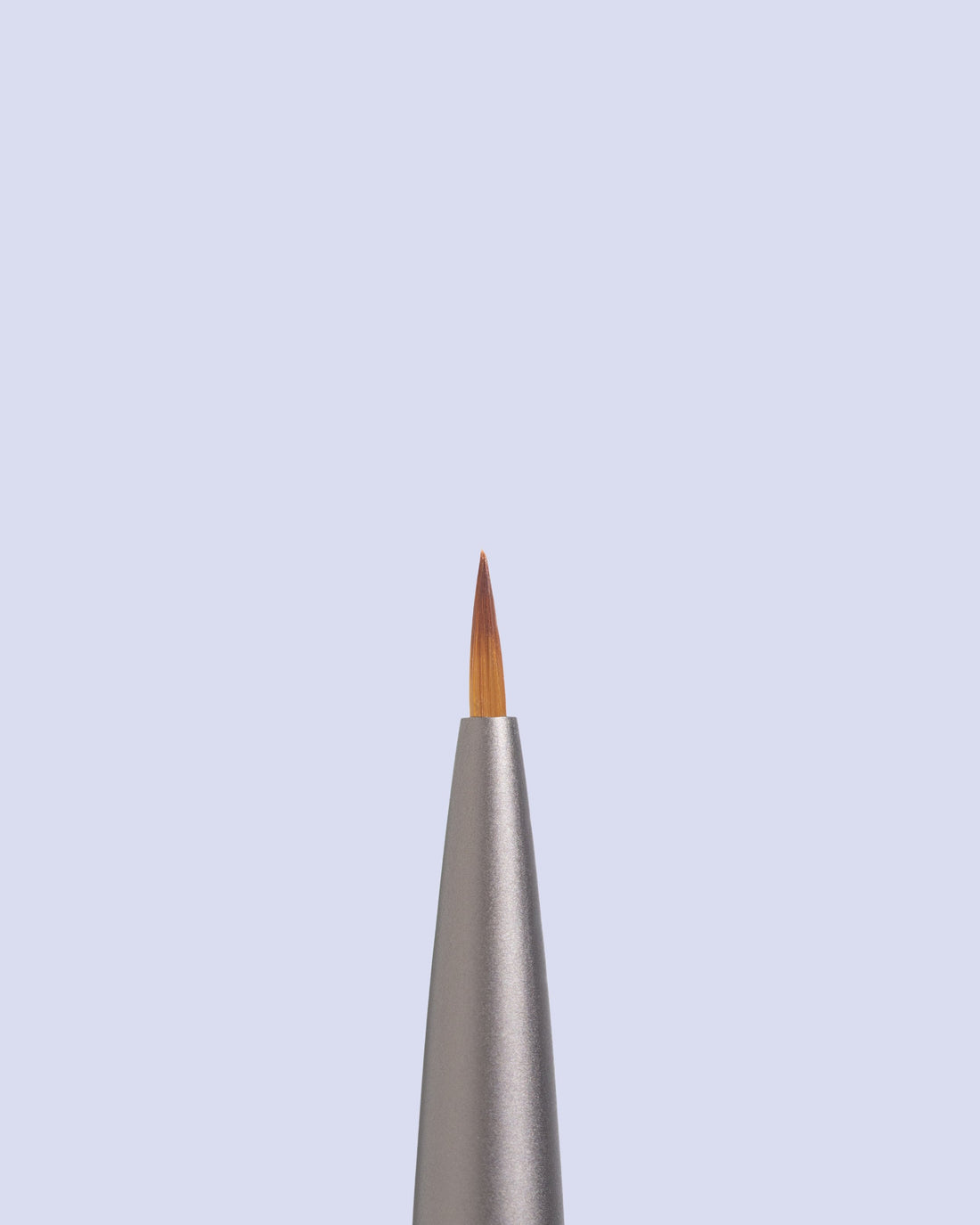 Nail Art Brush