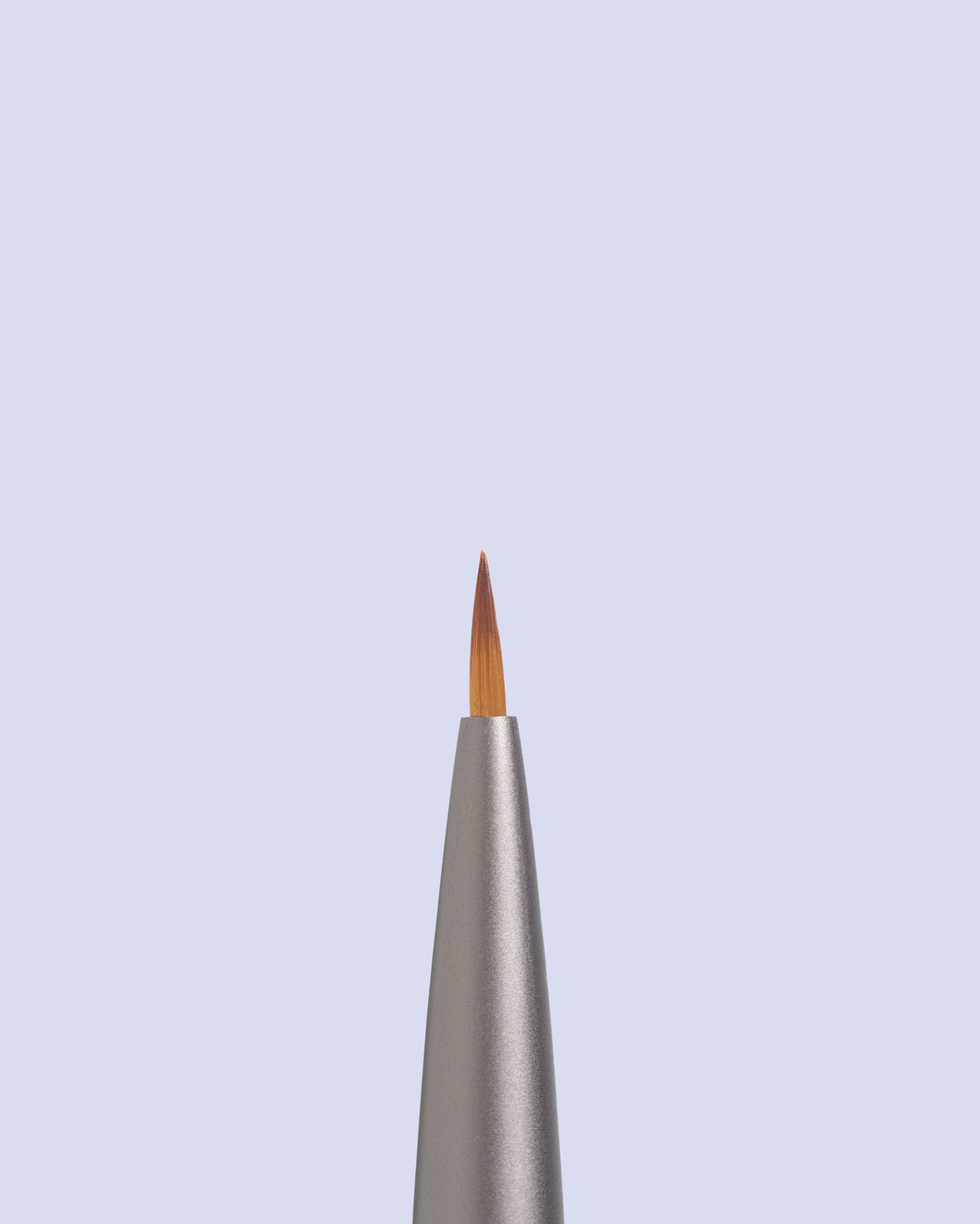 Nail Art Brush