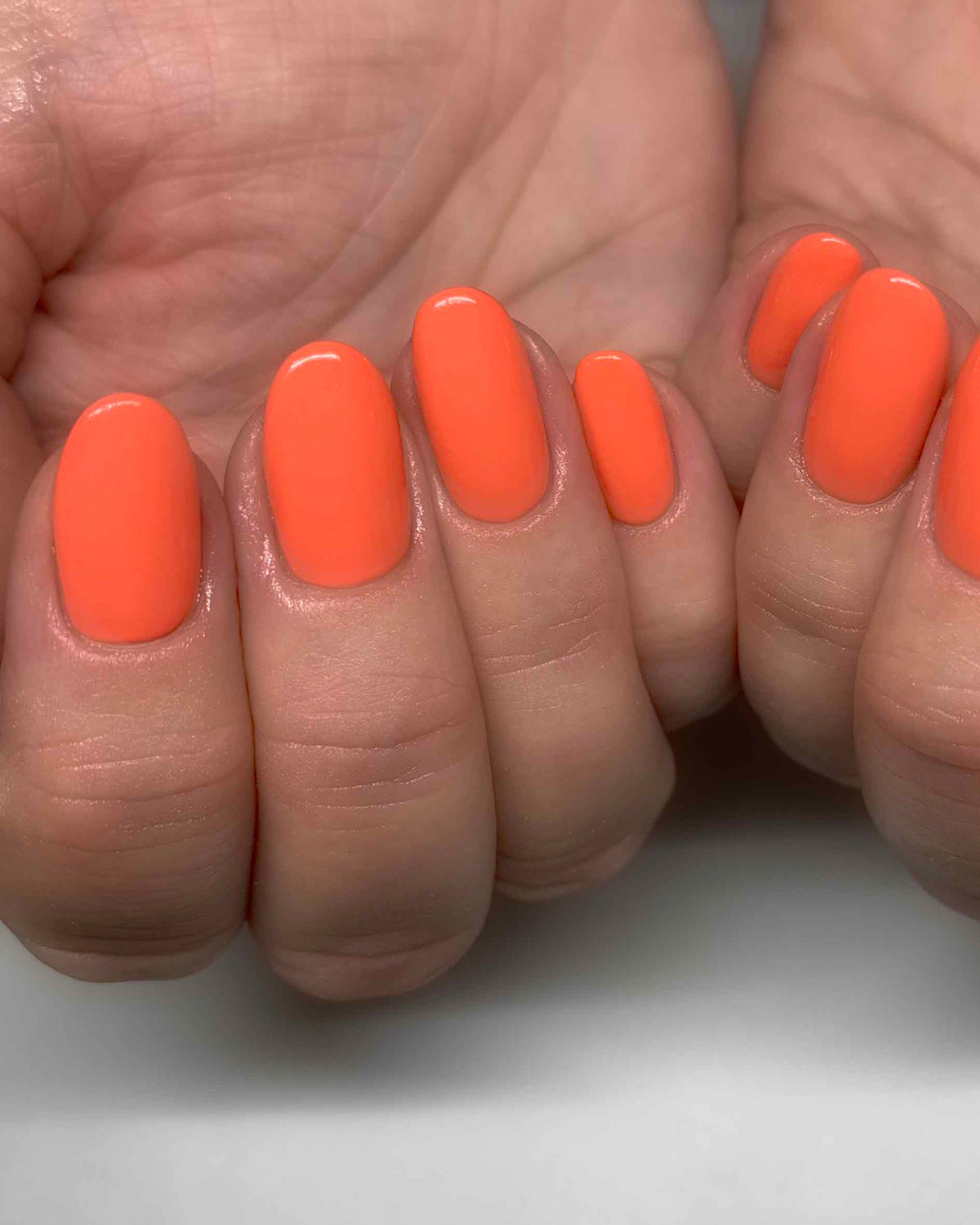 Coral - 2002 - Polish