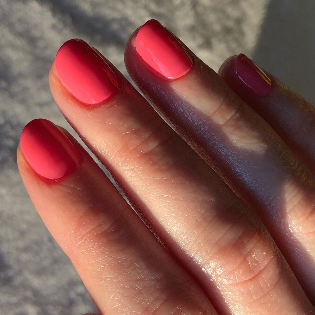 Radiant Starfish - 250 - Polish