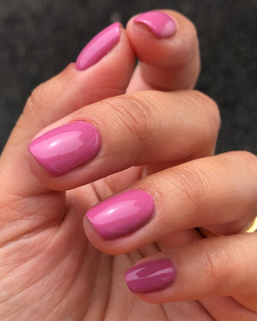 Happy Hydrangea - 271 - Polish