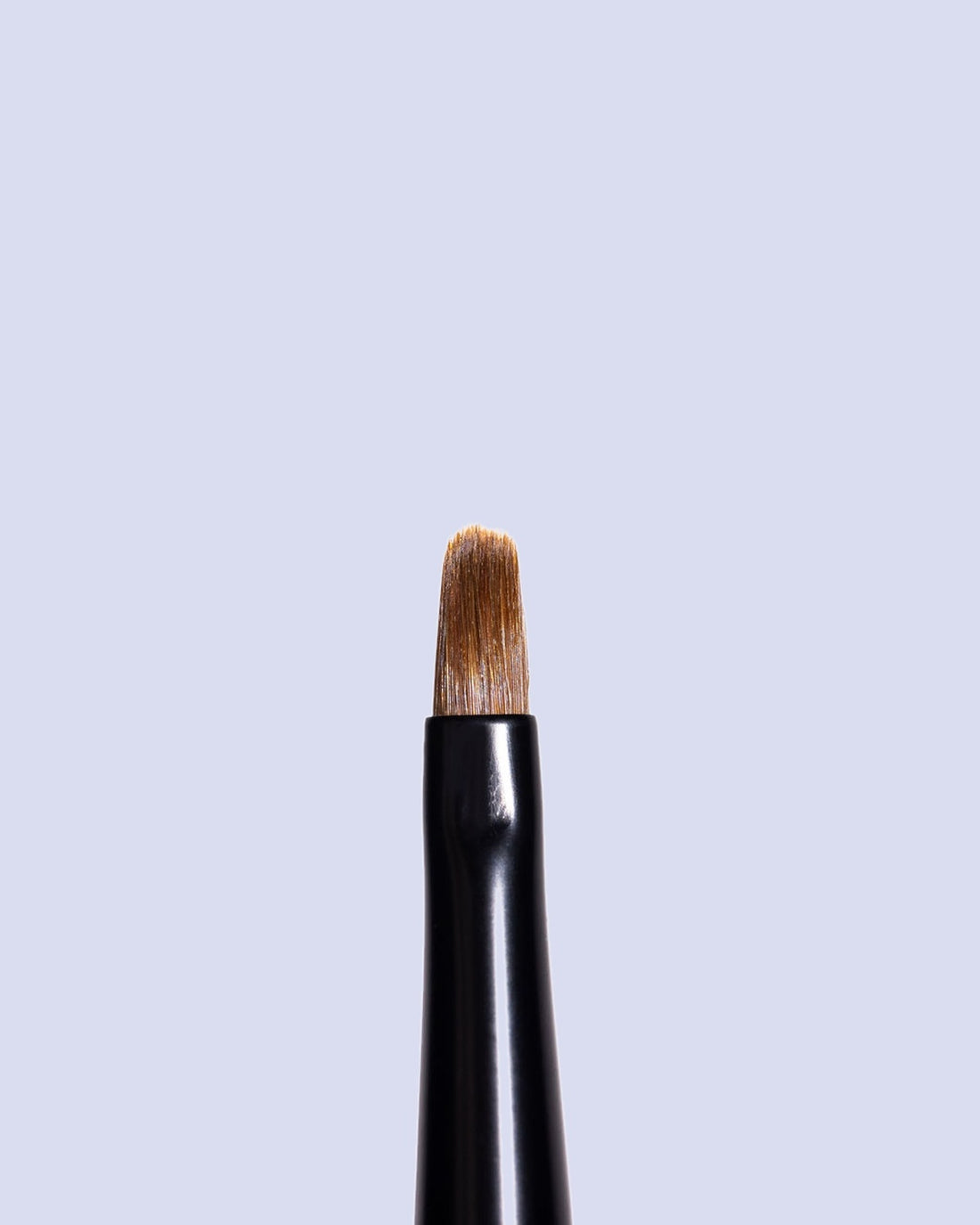 Premium Natural No. 6 Round Brush