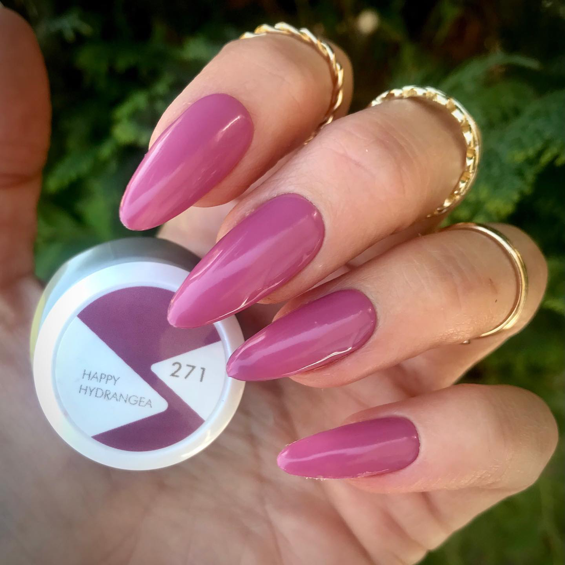 Happy Hydrangea - Polish