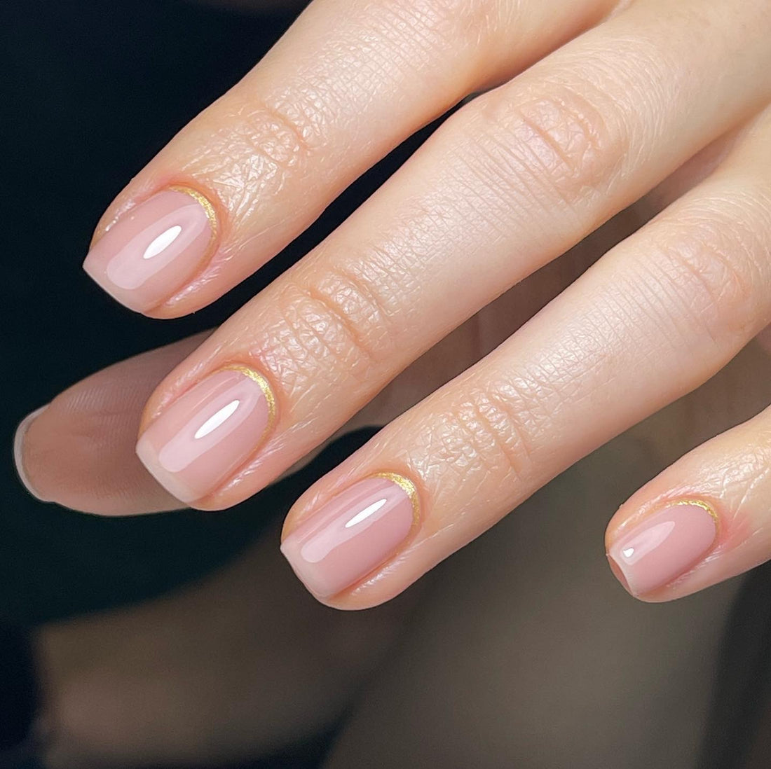 Lyrics of a Lily - Polish